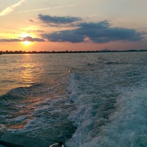 Meet your Posher, Dee